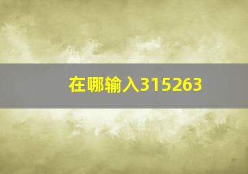 在哪输入315263