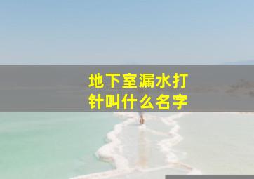 地下室漏水打针叫什么名字