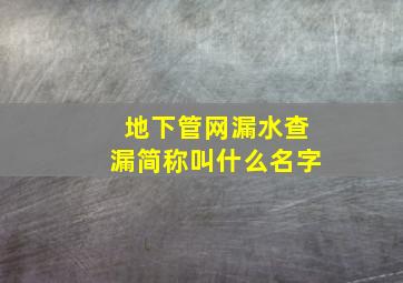 地下管网漏水查漏简称叫什么名字