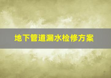 地下管道漏水检修方案