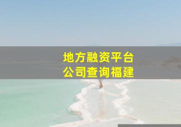 地方融资平台公司查询福建