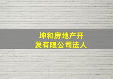 坤和房地产开发有限公司法人