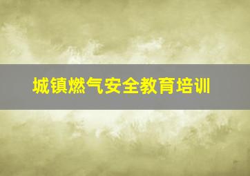 城镇燃气安全教育培训