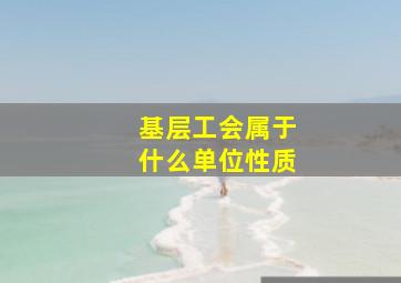 基层工会属于什么单位性质