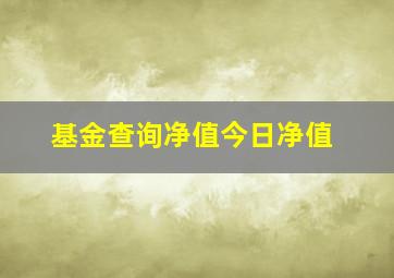 基金查询净值今日净值