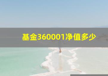 基金360001净值多少