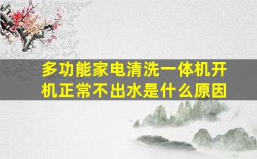 多功能家电清洗一体机开机正常不出水是什么原因