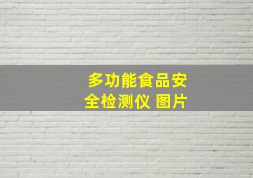 多功能食品安全检测仪 图片