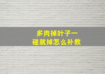 多肉掉叶子一碰就掉怎么补救