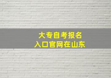 大专自考报名入口官网在山东