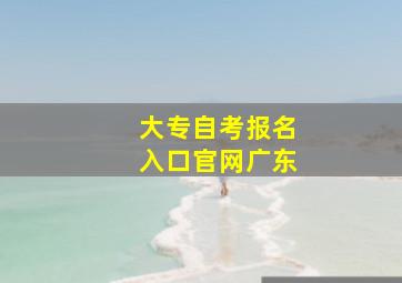 大专自考报名入口官网广东