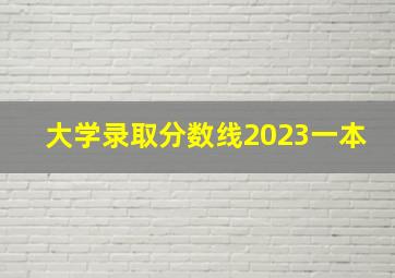 大学录取分数线2023一本