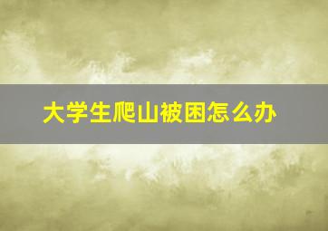 大学生爬山被困怎么办