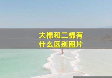 大棉和二棉有什么区别图片