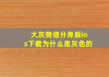 大灰微信分身版ios下载为什么是灰色的