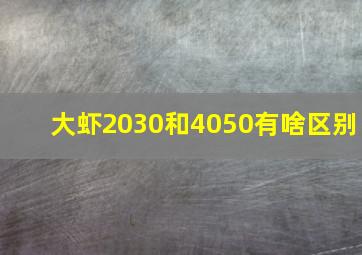 大虾2030和4050有啥区别