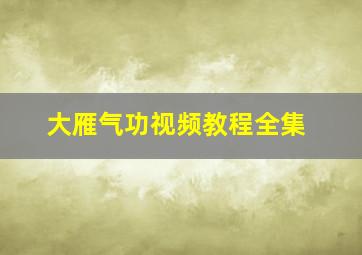 大雁气功视频教程全集