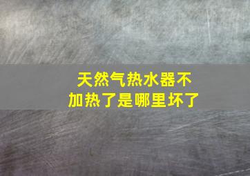 天然气热水器不加热了是哪里坏了