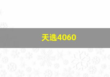 天选4060