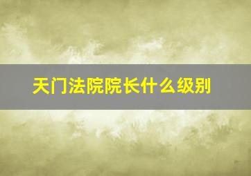 天门法院院长什么级别