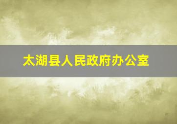 太湖县人民政府办公室