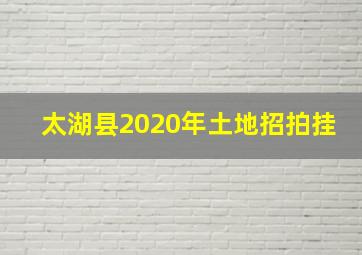 太湖县2020年土地招拍挂