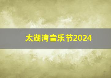 太湖湾音乐节2024