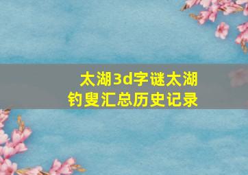 太湖3d字谜太湖钓叟汇总历史记录