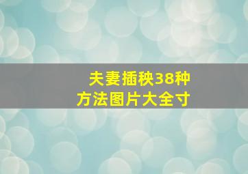 夫妻插秧38种方法图片大全寸