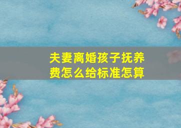 夫妻离婚孩子抚养费怎么给标准怎算