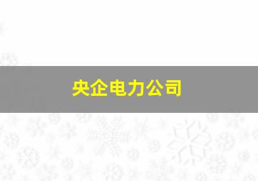 央企电力公司