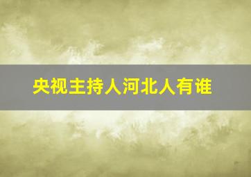 央视主持人河北人有谁