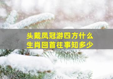 头戴凤冠游四方什么生肖回首往事知多少