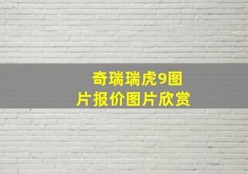 奇瑞瑞虎9图片报价图片欣赏