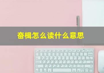 奋楫怎么读什么意思