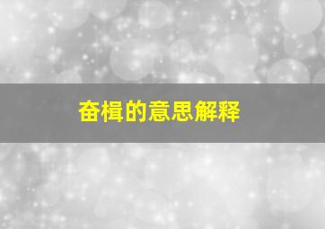 奋楫的意思解释