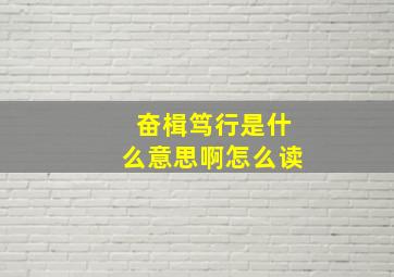 奋楫笃行是什么意思啊怎么读