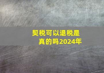 契税可以退税是真的吗2024年