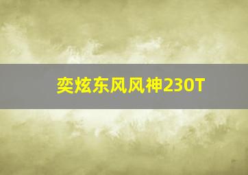 奕炫东风风神230T