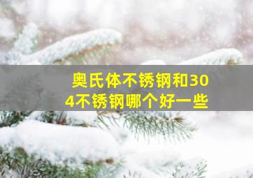 奥氏体不锈钢和304不锈钢哪个好一些