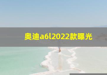 奥迪a6l2022款曝光