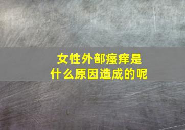 女性外部瘙痒是什么原因造成的呢