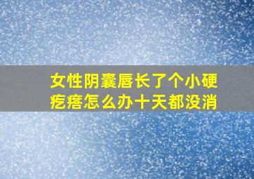 女性阴囊唇长了个小硬疙瘩怎么办十天都没消