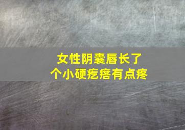 女性阴囊唇长了个小硬疙瘩有点疼