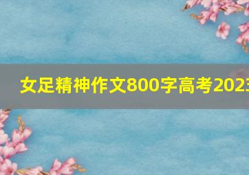 女足精神作文800字高考2023