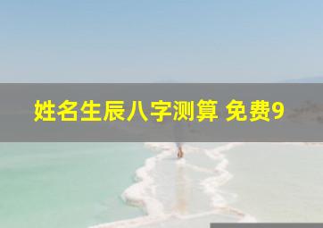 姓名生辰八字测算 免费9