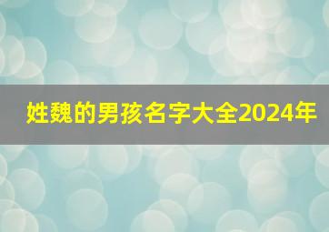 姓魏的男孩名字大全2024年