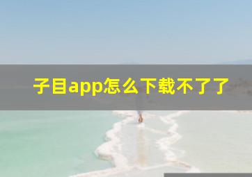 子目app怎么下载不了了