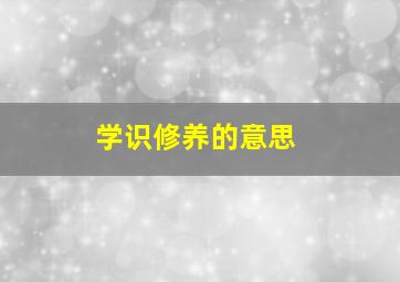 学识修养的意思