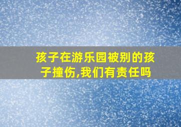 孩子在游乐园被别的孩子撞伤,我们有责任吗